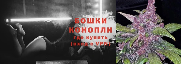 дживик Дмитровск