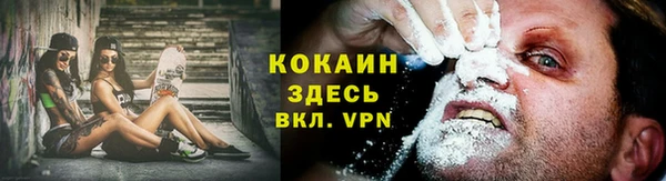 молекула духа Дмитров