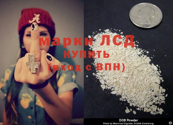 молекула духа Дмитров