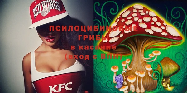 дживик Дмитровск