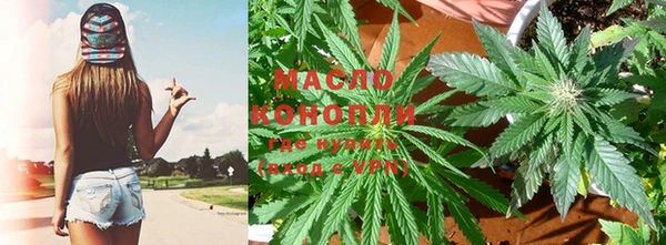молекула духа Дмитров