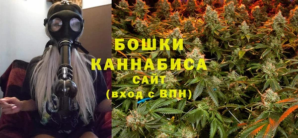 молекула духа Дмитров