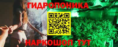 твердый Гусев