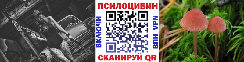mega рабочий сайт  Губкин  Галлюциногенные грибы Psilocybine cubensis 