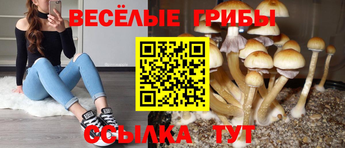 Галлюциногенные грибы мухоморы Губкин