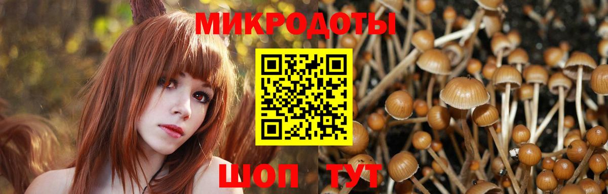 Галлюциногенные грибы GOLDEN TEACHER  наркотики  Губкин  Вход с VPN 