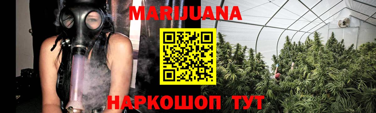 Каннабис OG Kush Губкин